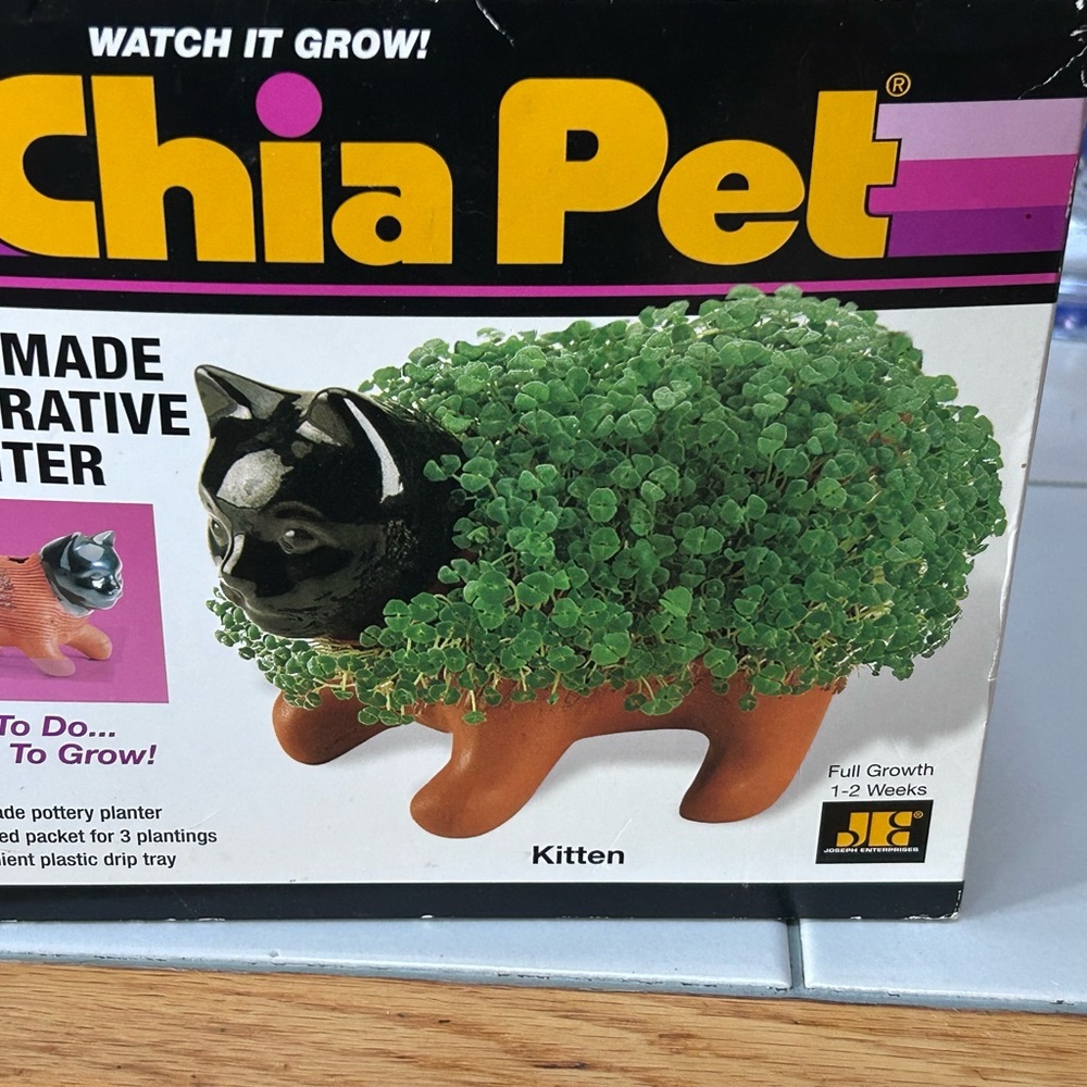 Chia Pet Kitten Decorative Planter - Black and Brown